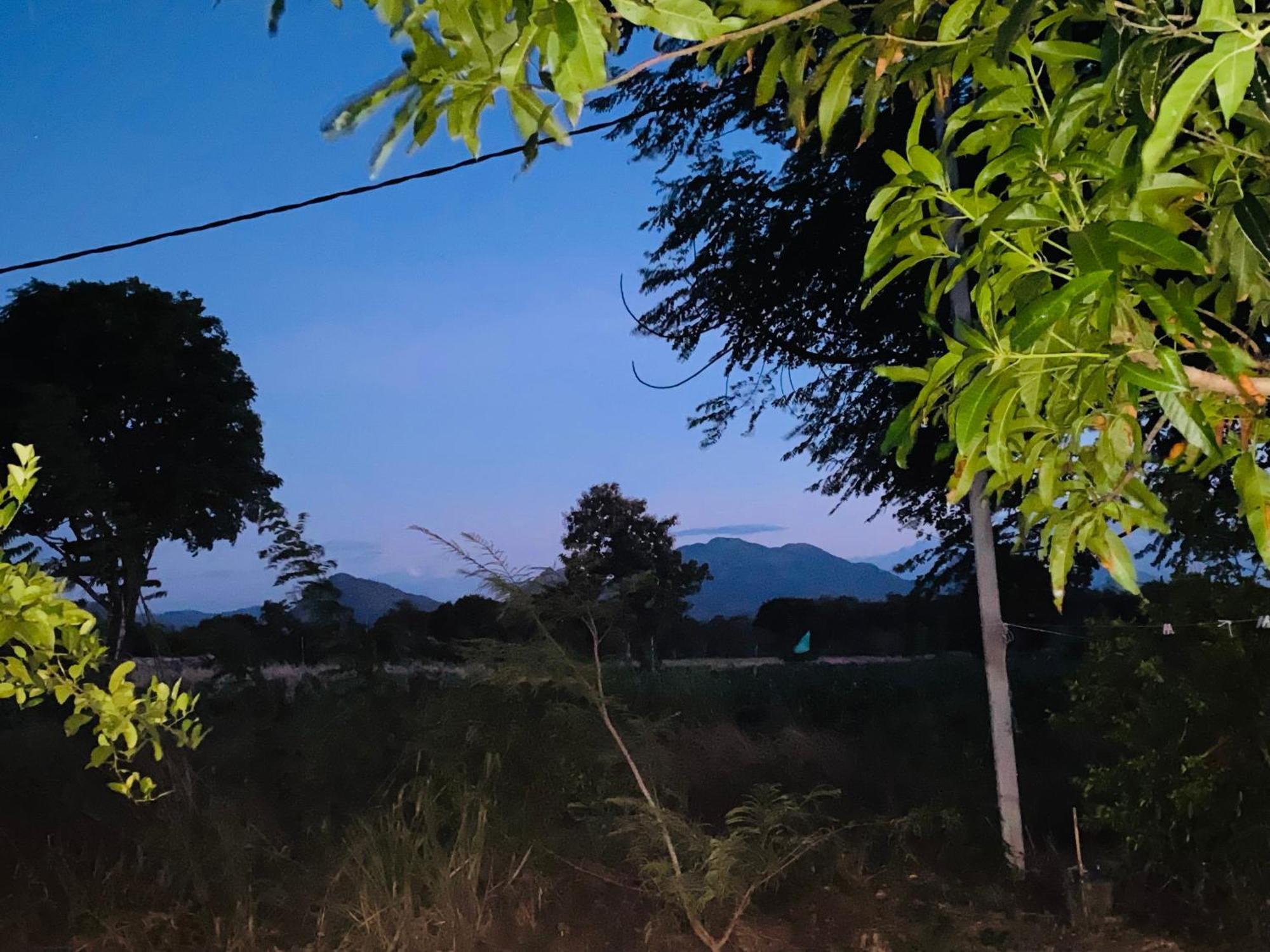 Fairview Dill Homestay Sigiriya Eksteriør billede