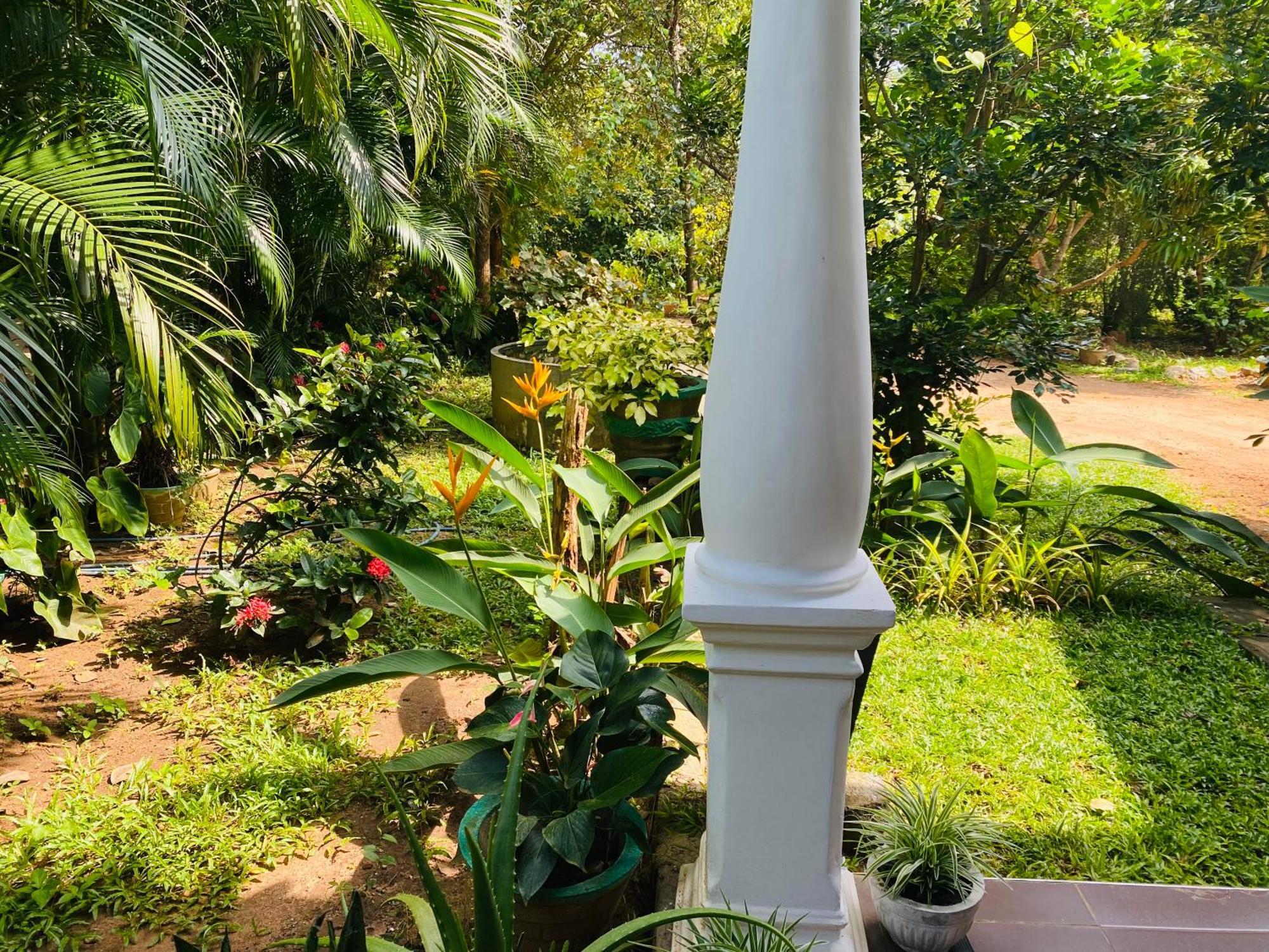 Fairview Dill Homestay Sigiriya Eksteriør billede