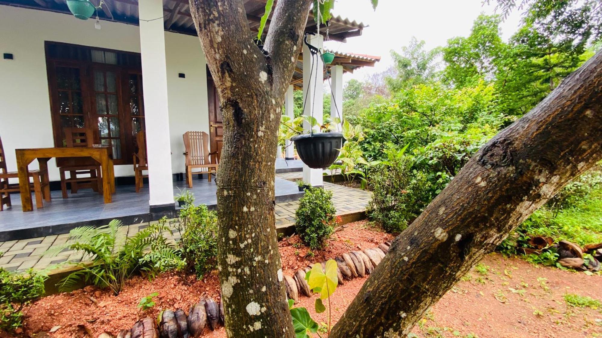 Fairview Dill Homestay Sigiriya Eksteriør billede
