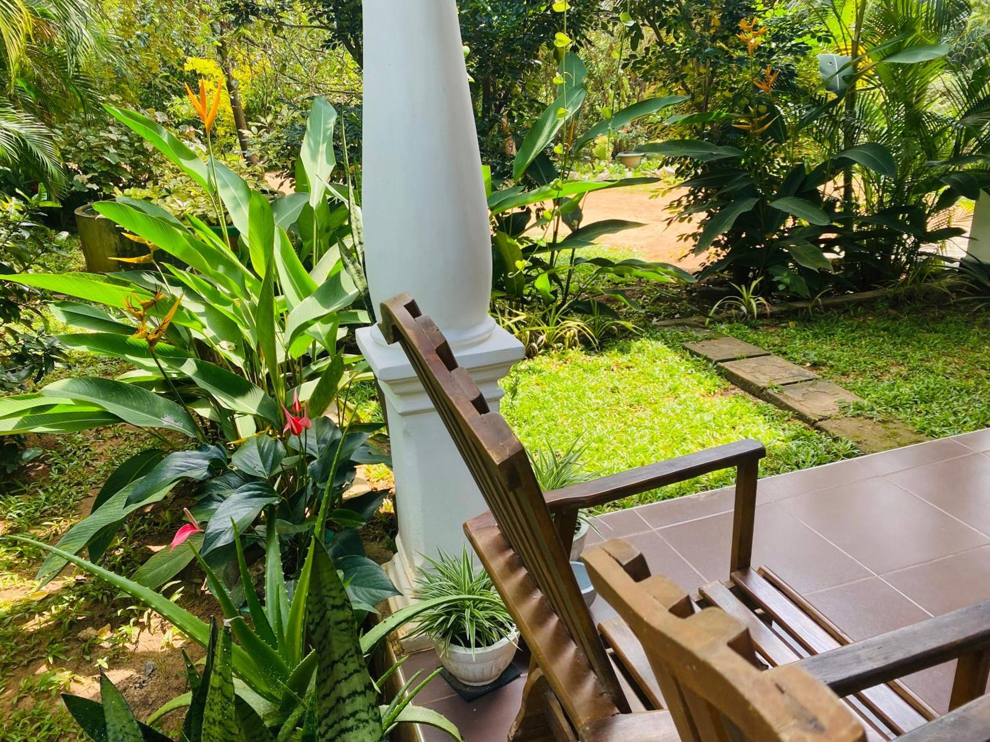 Fairview Dill Homestay Sigiriya Eksteriør billede