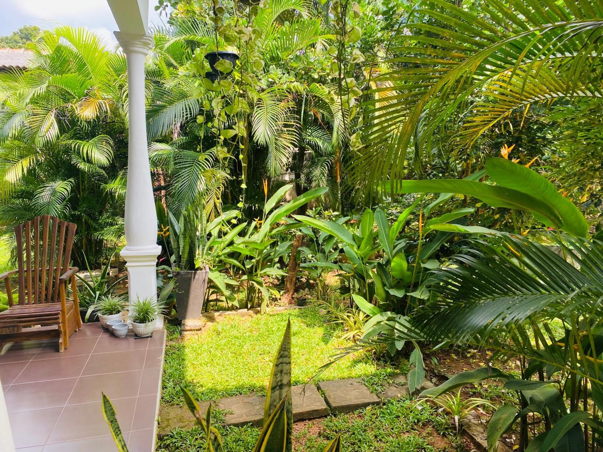 Fairview Dill Homestay Sigiriya Eksteriør billede