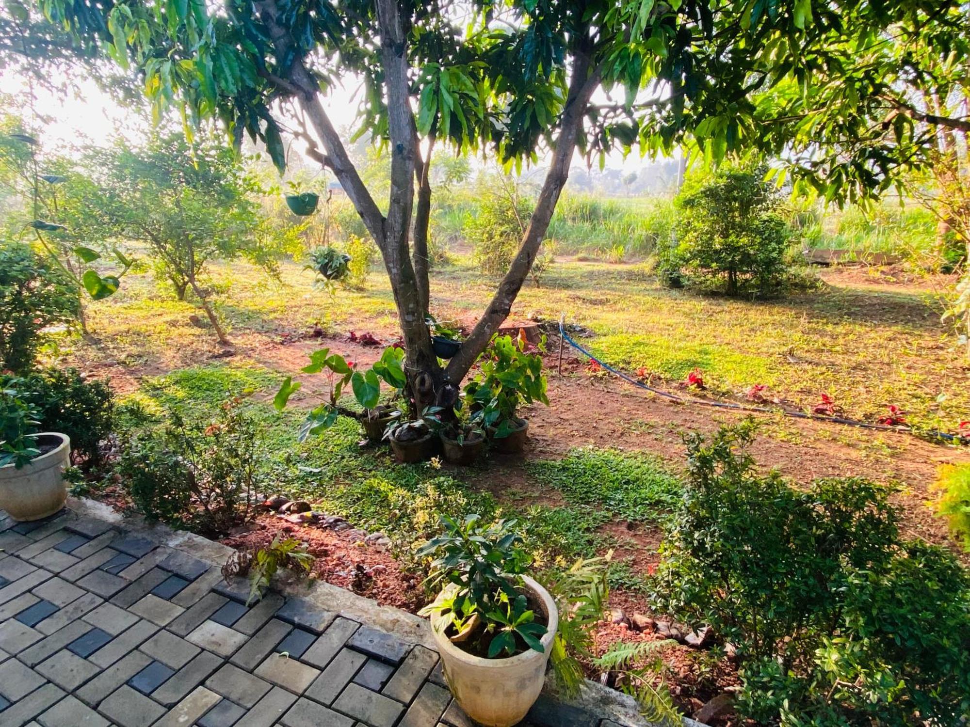 Fairview Dill Homestay Sigiriya Eksteriør billede